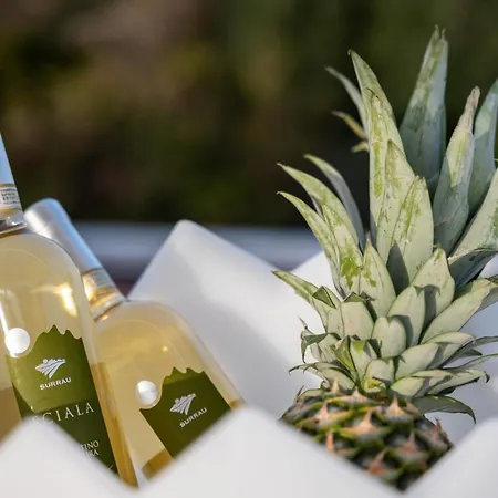 Wlofts 11, 12 & 14 By Klodge 아파트 올비아