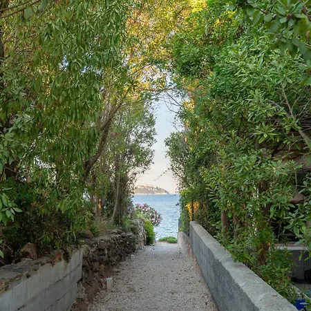 شقة Wlofts 11, 12 & 14 By Klodge