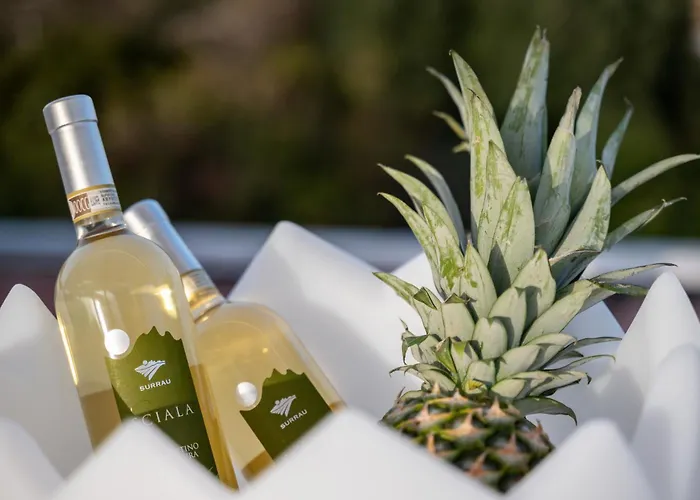 Wlofts 11, 12 & 14 By Klodge Appartement Olbia