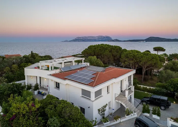 Wlofts 11, 12 & 14 By Klodge